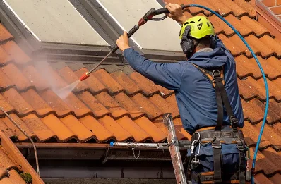 Démoussage et hydrofuge de toiture aux Rives